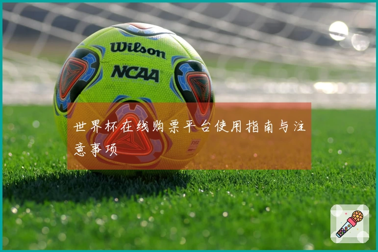 世界杯在线购票平台使用指南与注意事项
