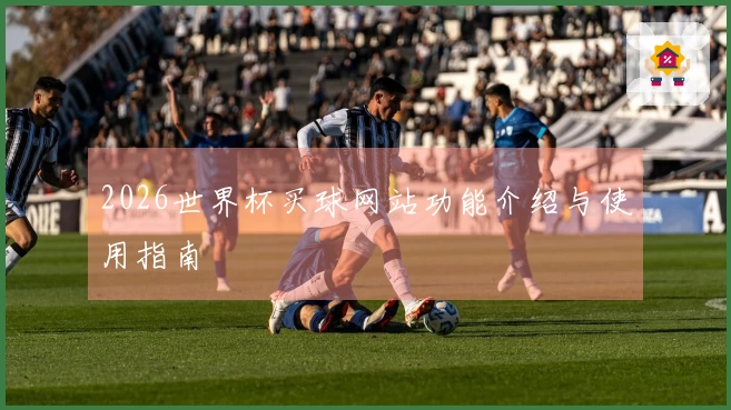 2026世界杯买球网站功能介绍与使用指南