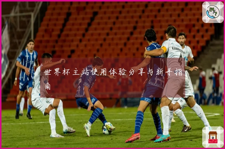 世界杯主站使用体验分享与新手指南