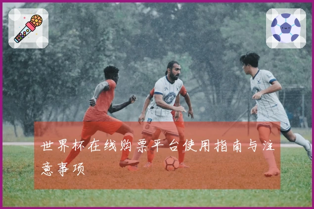 世界杯在线购票平台使用指南与注意事项