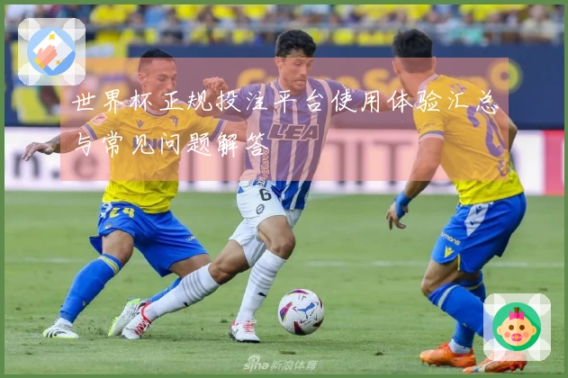 世界杯正规投注平台使用体验汇总与常见问题解答
