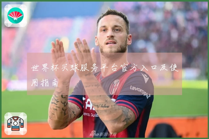 世界杯买球服务平台官方入口及使用指南
