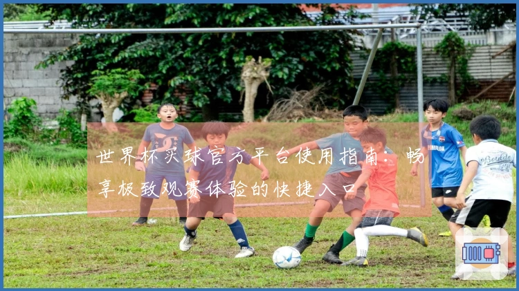 世界杯买球官方平台使用指南：畅享极致观赛体验的快捷入口