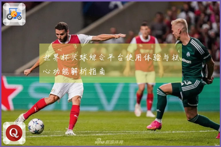 世界杯买球综合平台使用体验与核心功能解析指南
