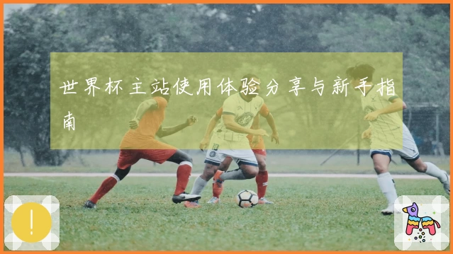 世界杯主站使用体验分享与新手指南