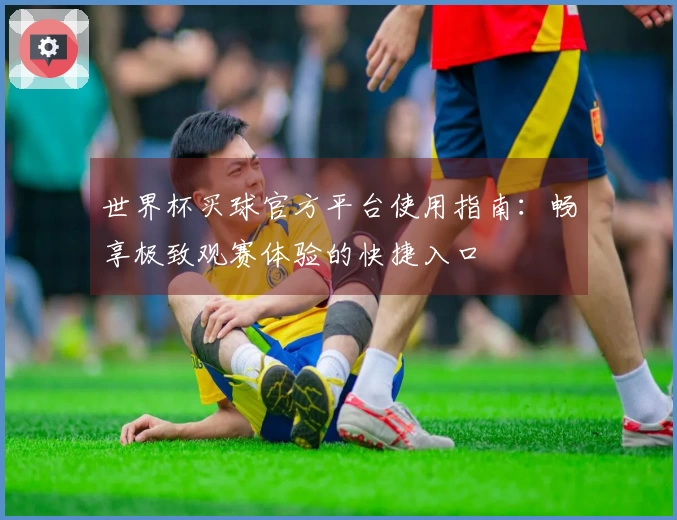 世界杯买球官方平台使用指南：畅享极致观赛体验的快捷入口